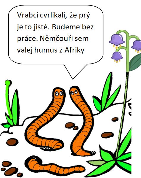 30 - Zizaly.JPG, 66kB